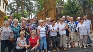 64431052_398527100871802_3243850797074612224_n